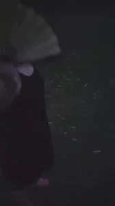 天太热草地凉快下（肥熟）